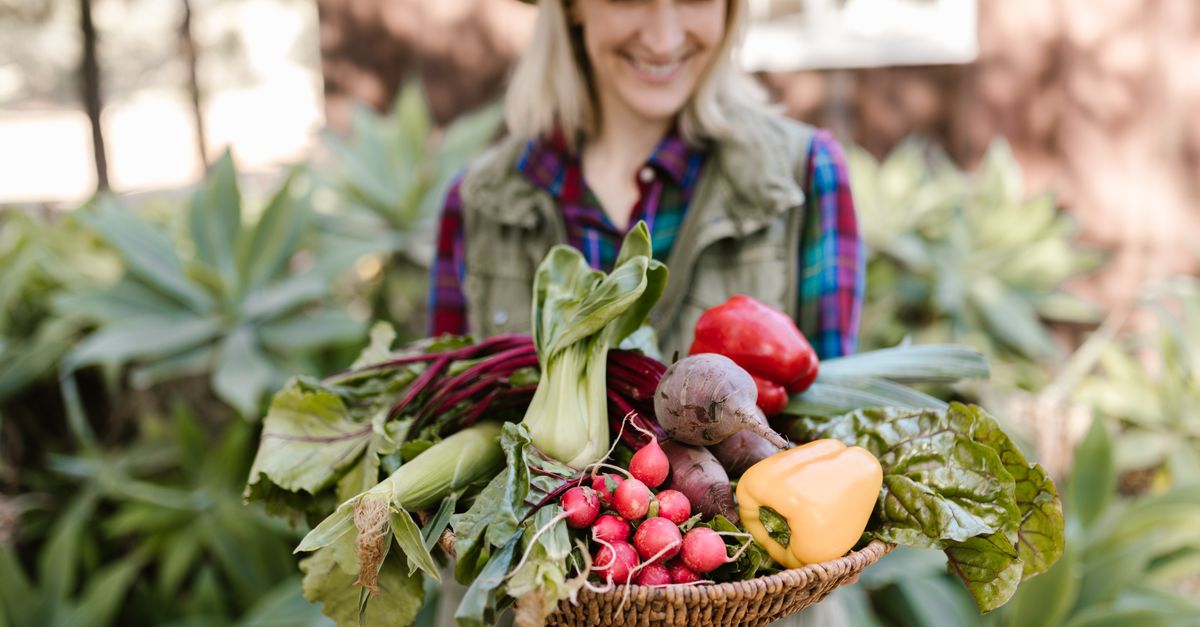 Guide Complet pour Cultiver des Légumes en Équilibre