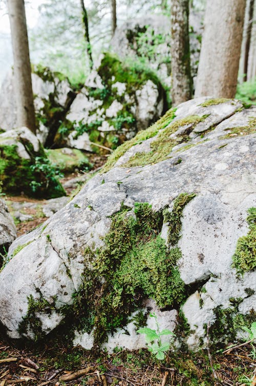 山の岩, 岩, 巨石の無料の写真素材