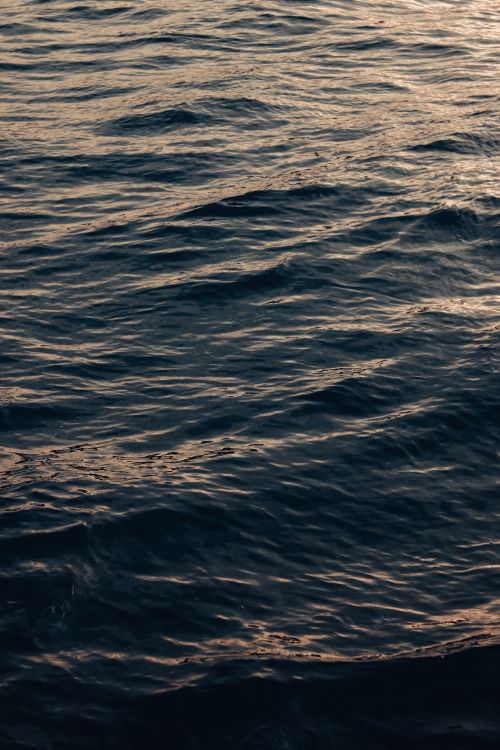 Free A serene view of the ocean surface with gentle ripples reflecting warm light at dusk. Stock Photo