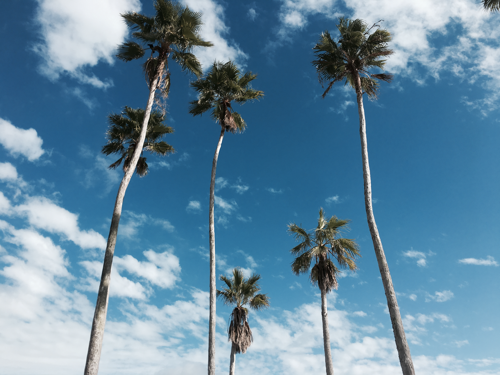 Palm Beach