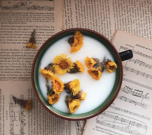 Cup of milk with dandelions on papers