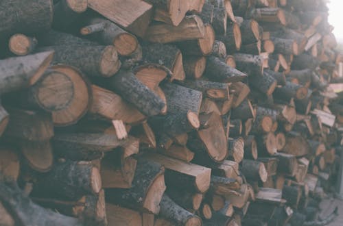 Free Photograph of a Woodpile Stock Photo