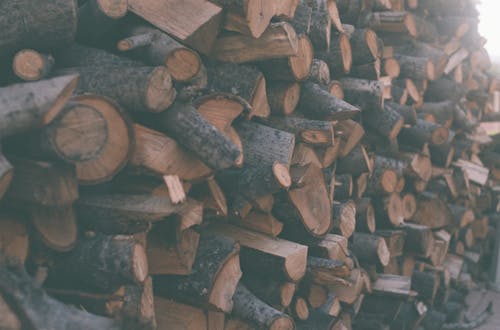 Photograph of a Woodpile