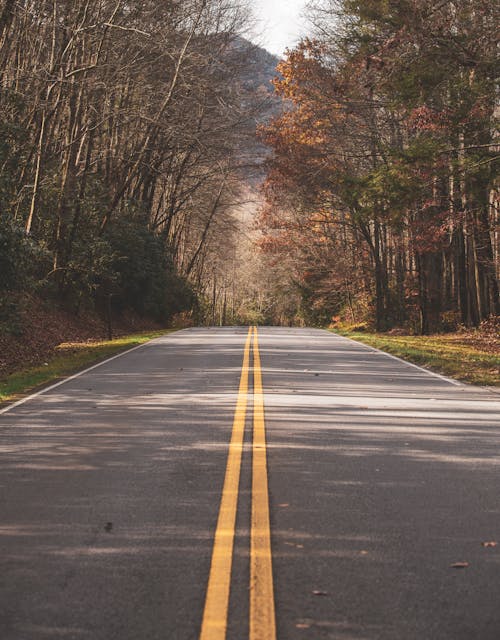 Solid Yellow Lines on a Concrete Road