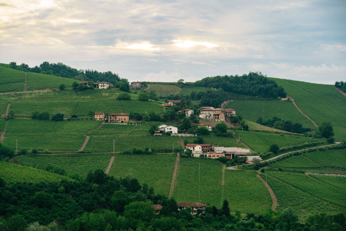 Dealuri verzi cu podgorii si case de piatra, in lumina de apus