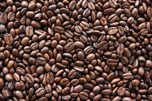 アラビカ, コーヒー豆, ダークの無料の写真素材