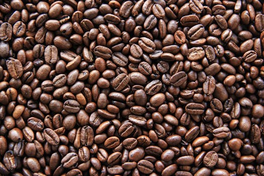 Rich, aromatic coffee beans displayed in a detailed and vibrant close-up view.