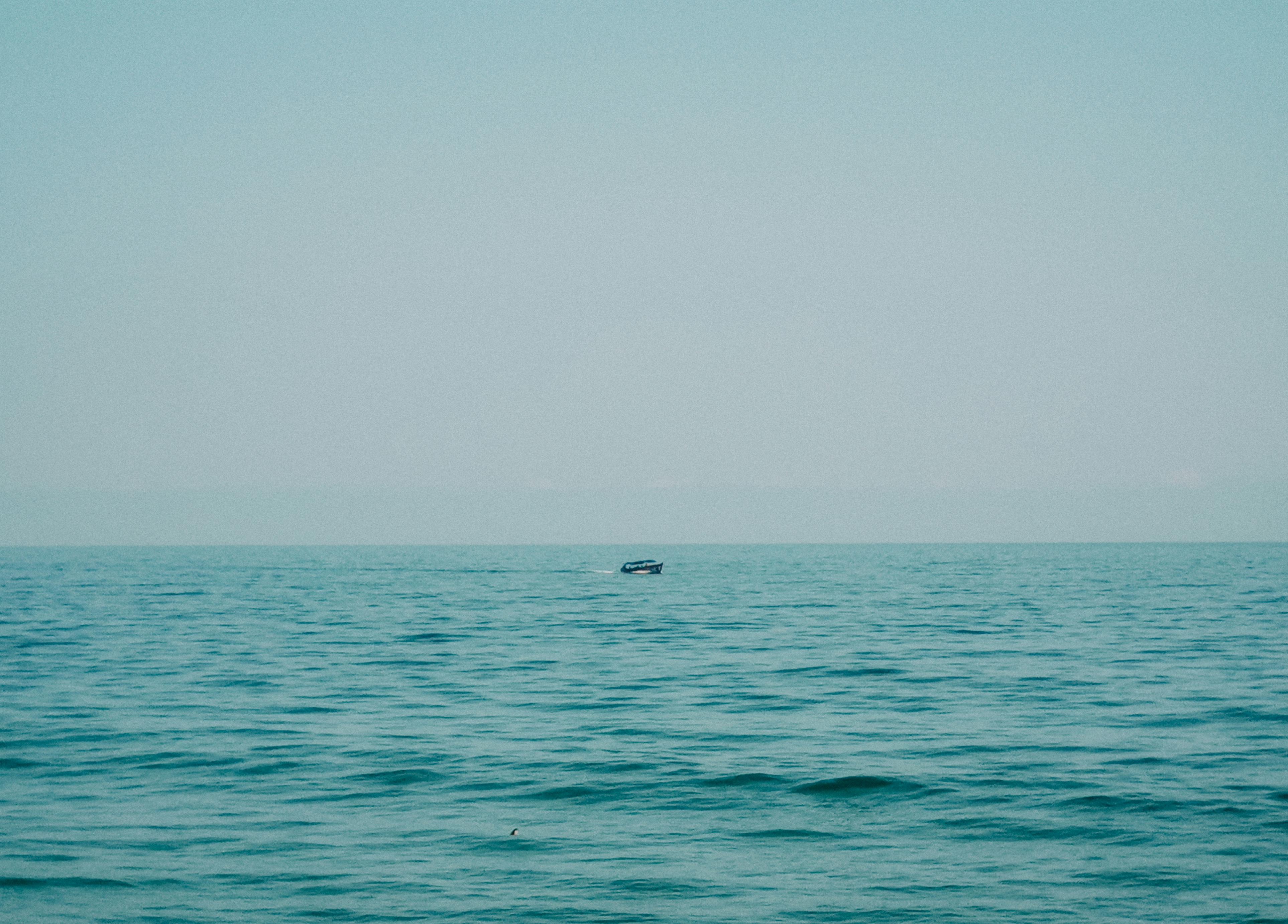 Kočka leží s ocasem omotaným kolem těla. Její pozice odhaluje její náladu.