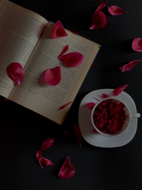 Free Open book with scattered red rose petals and cup on dark surface. Perfect for romantic settings. Stock Photo