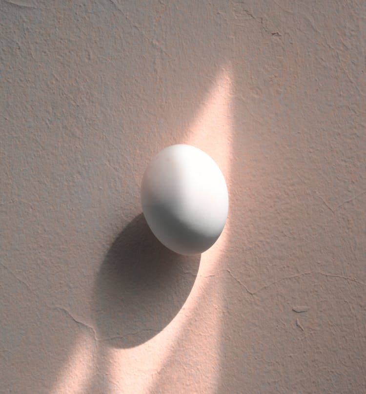 White Egg On Pink Surface