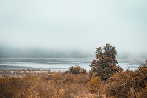 Free stock photo of marsabit lake