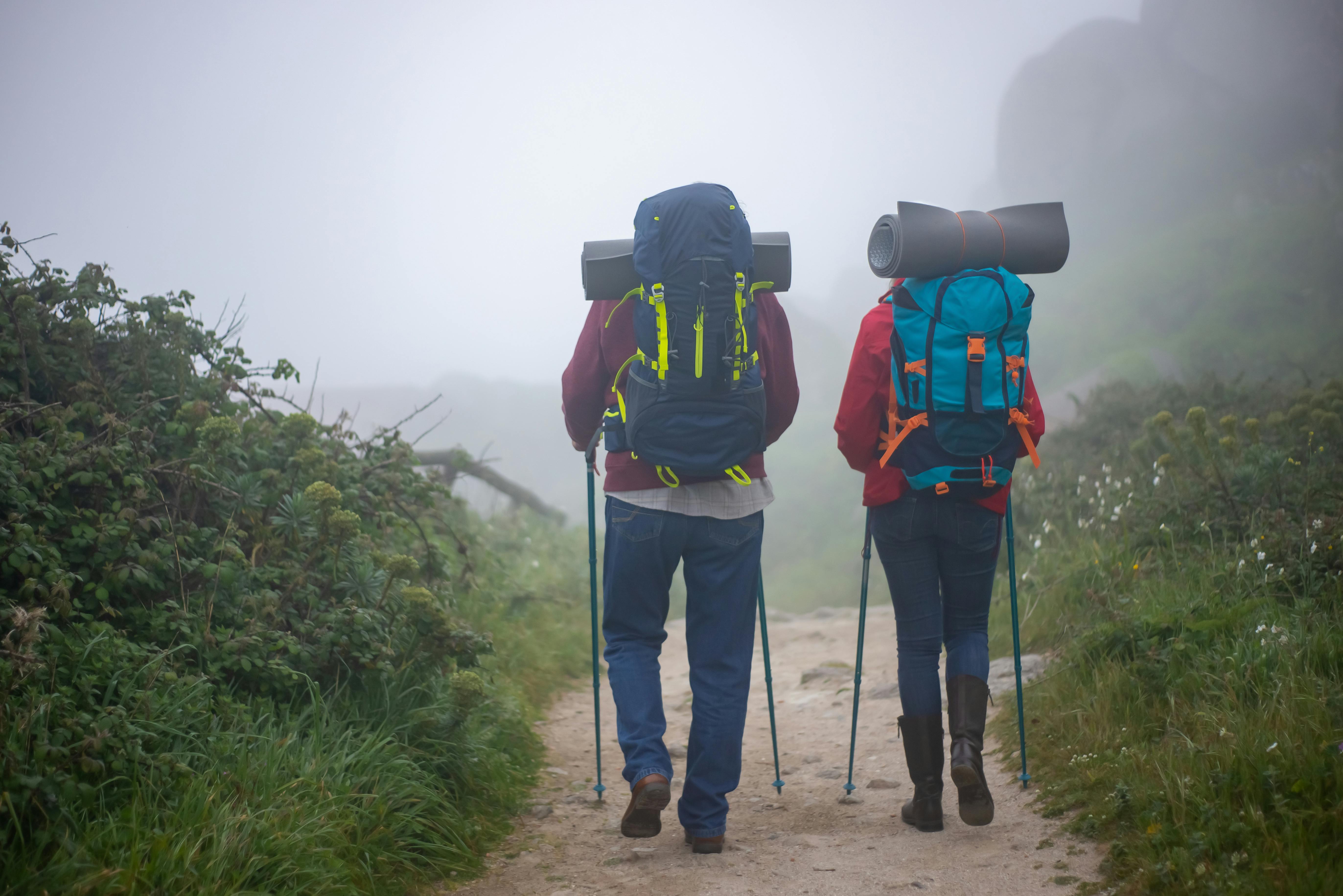 50+ Gorilla Trekking Uganda Stock Photos, Pictures & Royalty-Free Images -  iStock