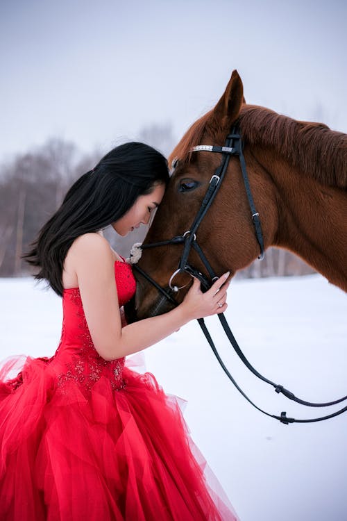 Young Asian lady with dark hair wearing red evening dress bowing head to muzzle of horse with bridle in snowy field