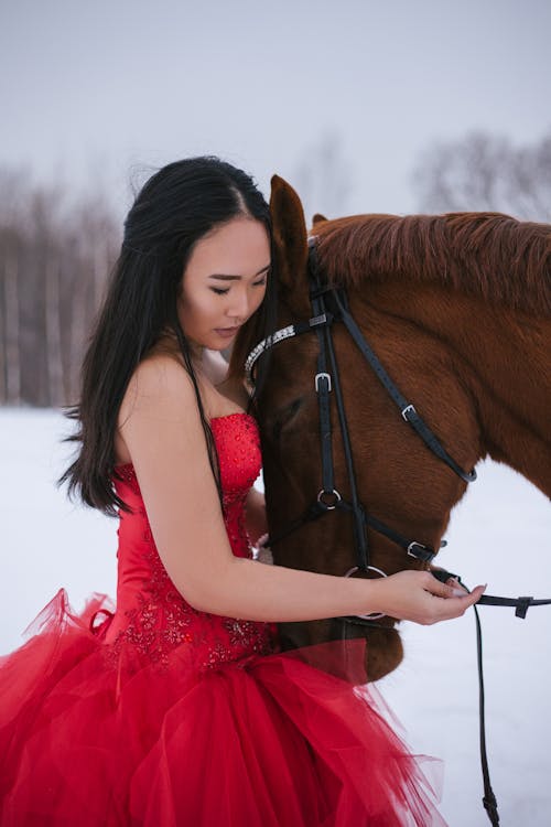 Free Thoughtful Asian female with dark long hair wearing evening dress with skirt of organza fabric cuddling horse with harness in hand in winter meadow Stock Photo