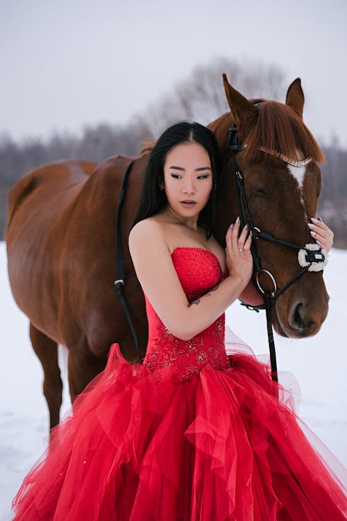 Beautiful young Asian woman in elegant red gown with dark long hair hugging by hands muzzle of horse in harness