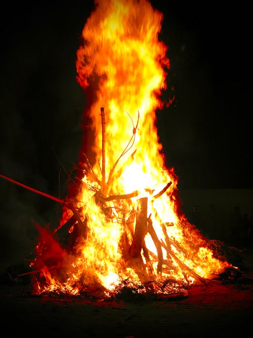 Free Bonfire in a Dark Night Stock Photo
