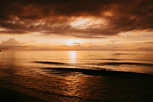 Landscape of ocean shore at sunset with cloudy sky