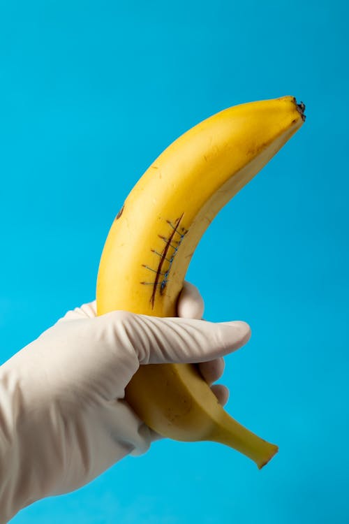 Crop unrecognizable person in sterile latex glove reaching out hand and demonstrating yellow banana with sweet stitched gash against blue background