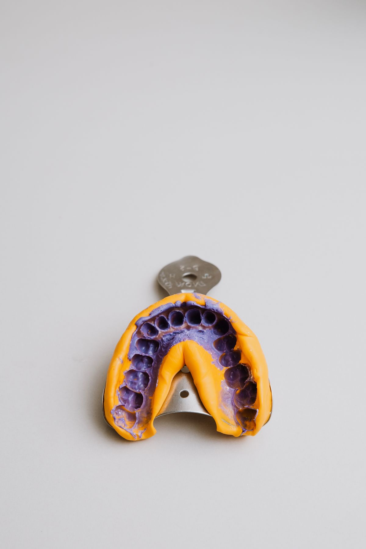 Colourful dental alginate impression on a tray used for dental molding