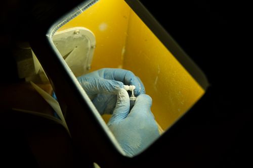 Free From above of crop anonymous master in latex gloves creating dental implant using medical equipment against black background Stock Photo