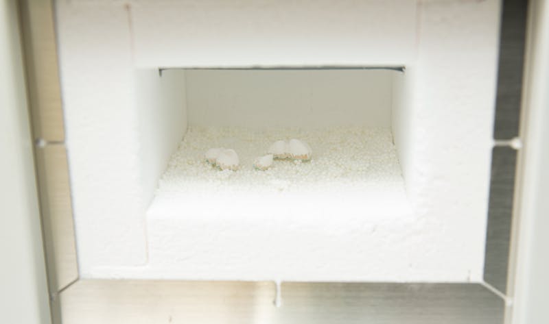 Dental implant and prosthetic preparation equipment