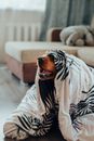 Cute dog sitting under blanket
