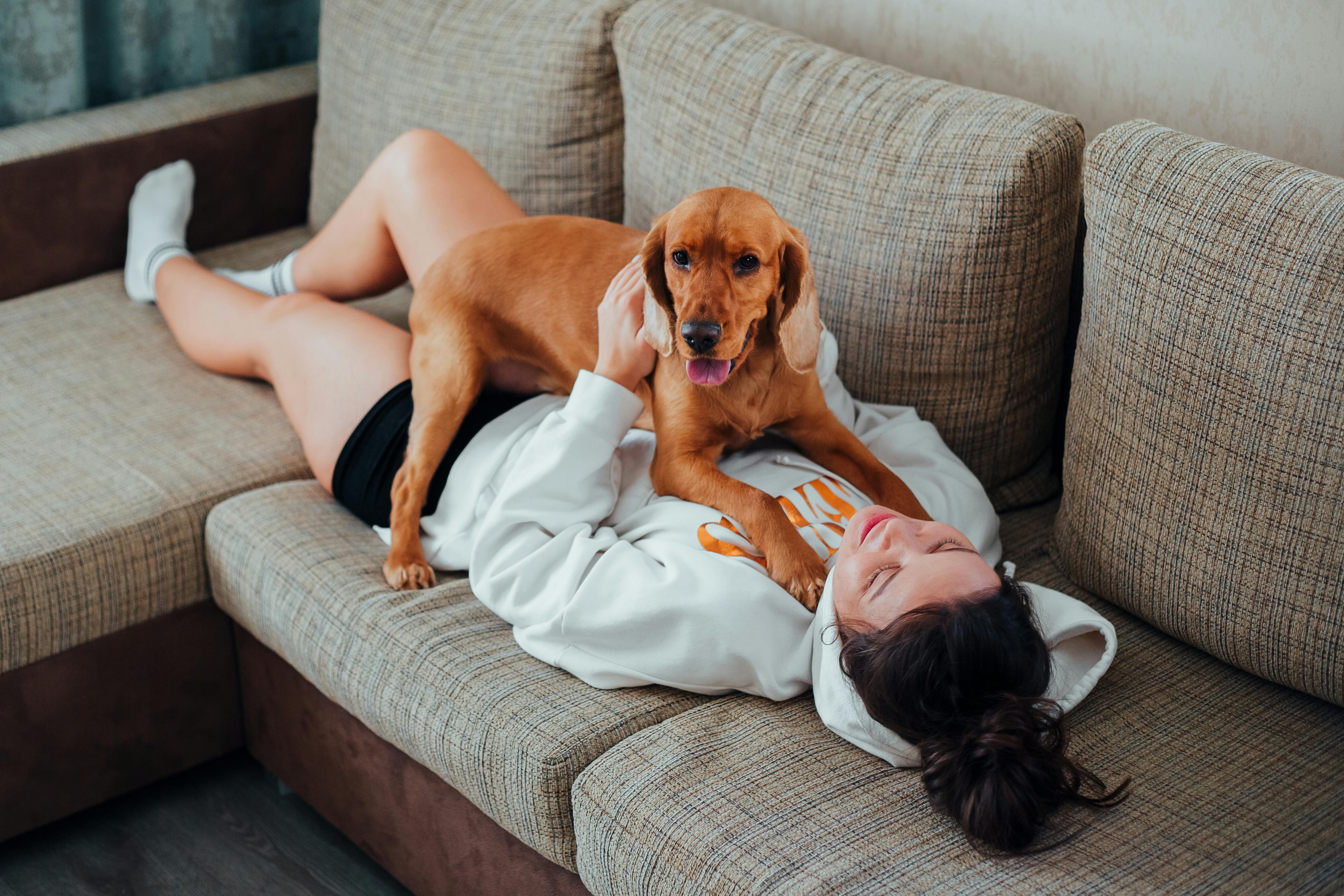 pet lifestyle pets lifestyle — Photo by Ivan Babydov on Pexels