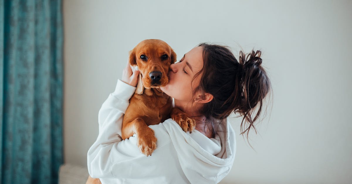 Loving woman kissing and cuddling cute dog