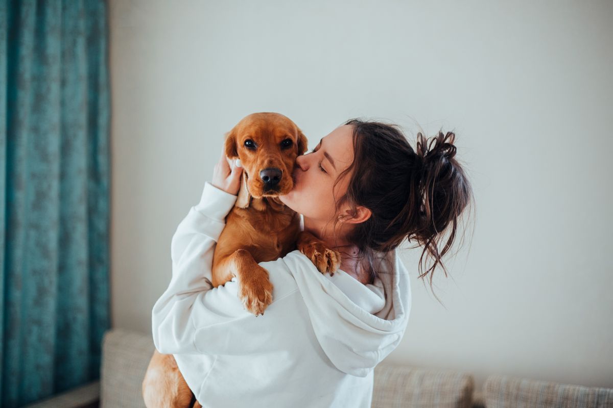 What Pet Insurance Doesn't Cover