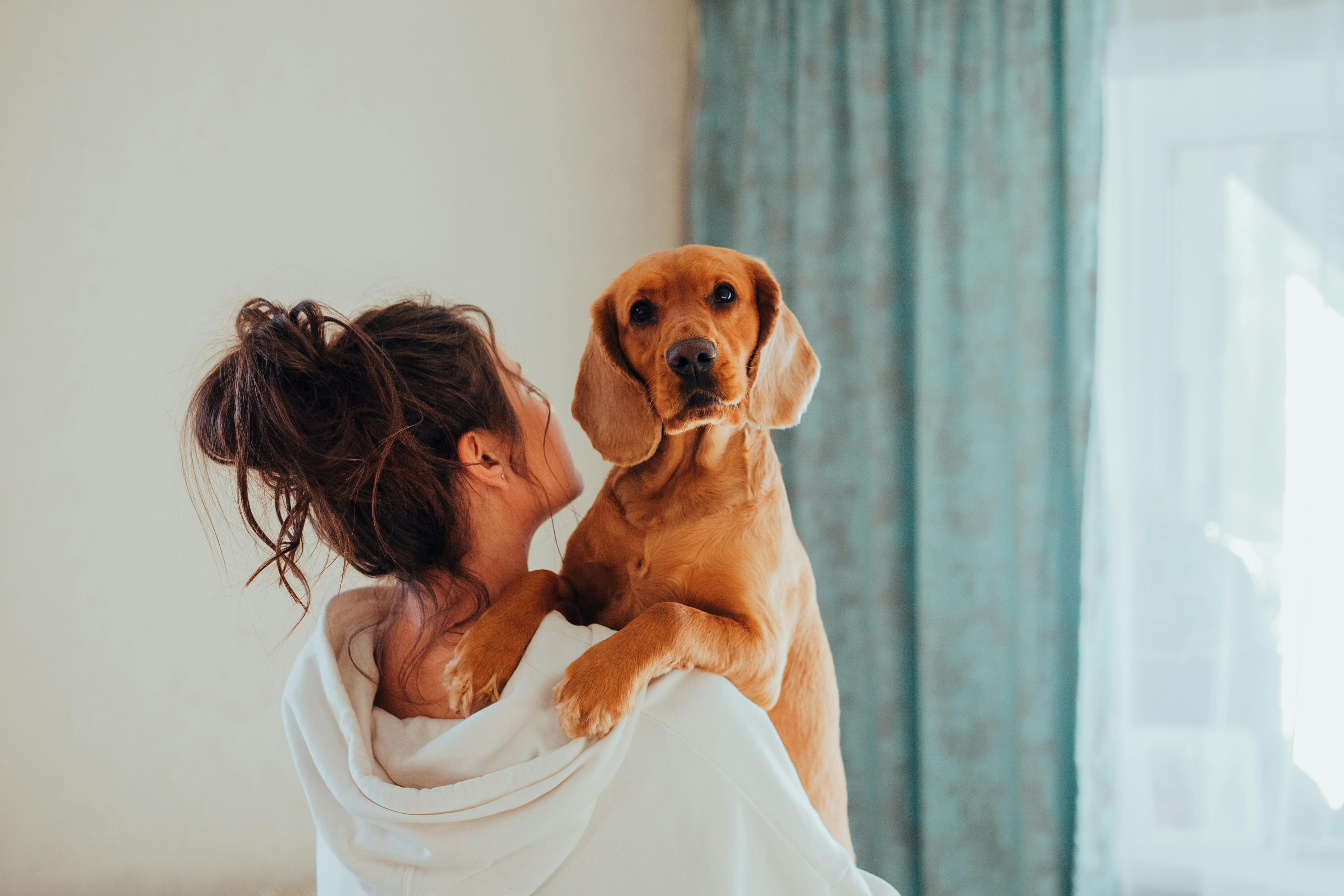 pet care, pet health, pet safety, pet grooming — Photo by Ivan Babydov on Pexels
