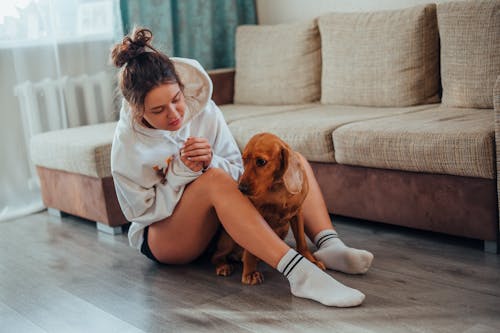 Free Young woman sitting with dog near sofa at home Stock Photo