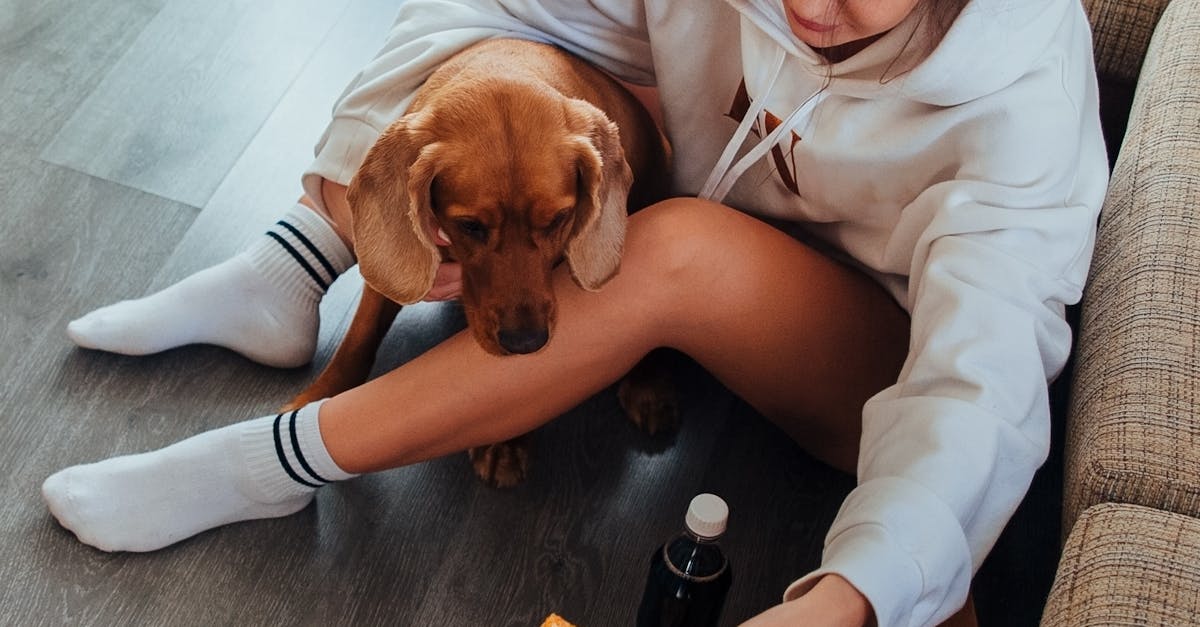 How to stop neighbors dog from barking all the time