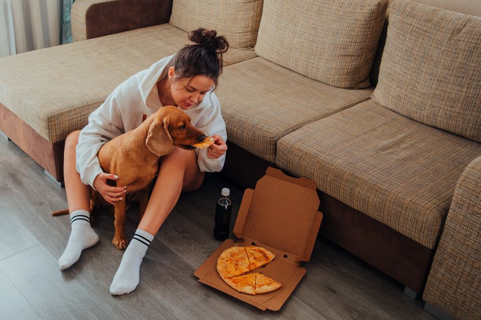 From above of female owner sitting on floor near sofa and caressing obedient Labrador while feeding dog pizza during weekend at home