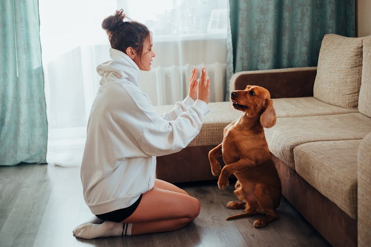 A Woman Teaching Her Dog Tricks