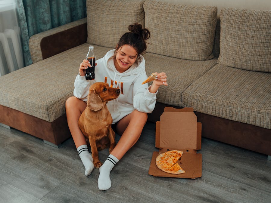 Can dogs eat popcorn?