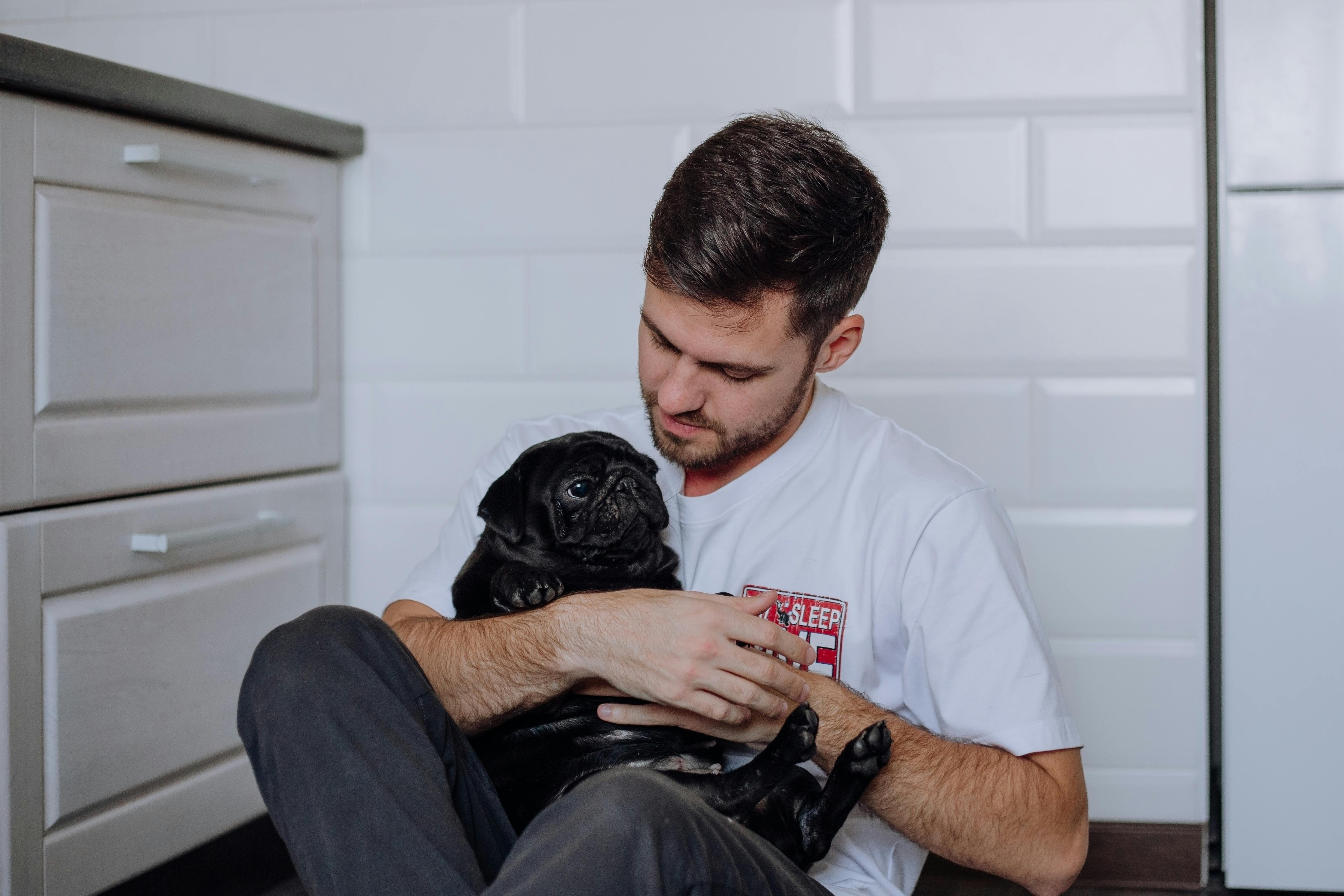 pet care pet safety — Photo by Ivan Babydov on Pexels
