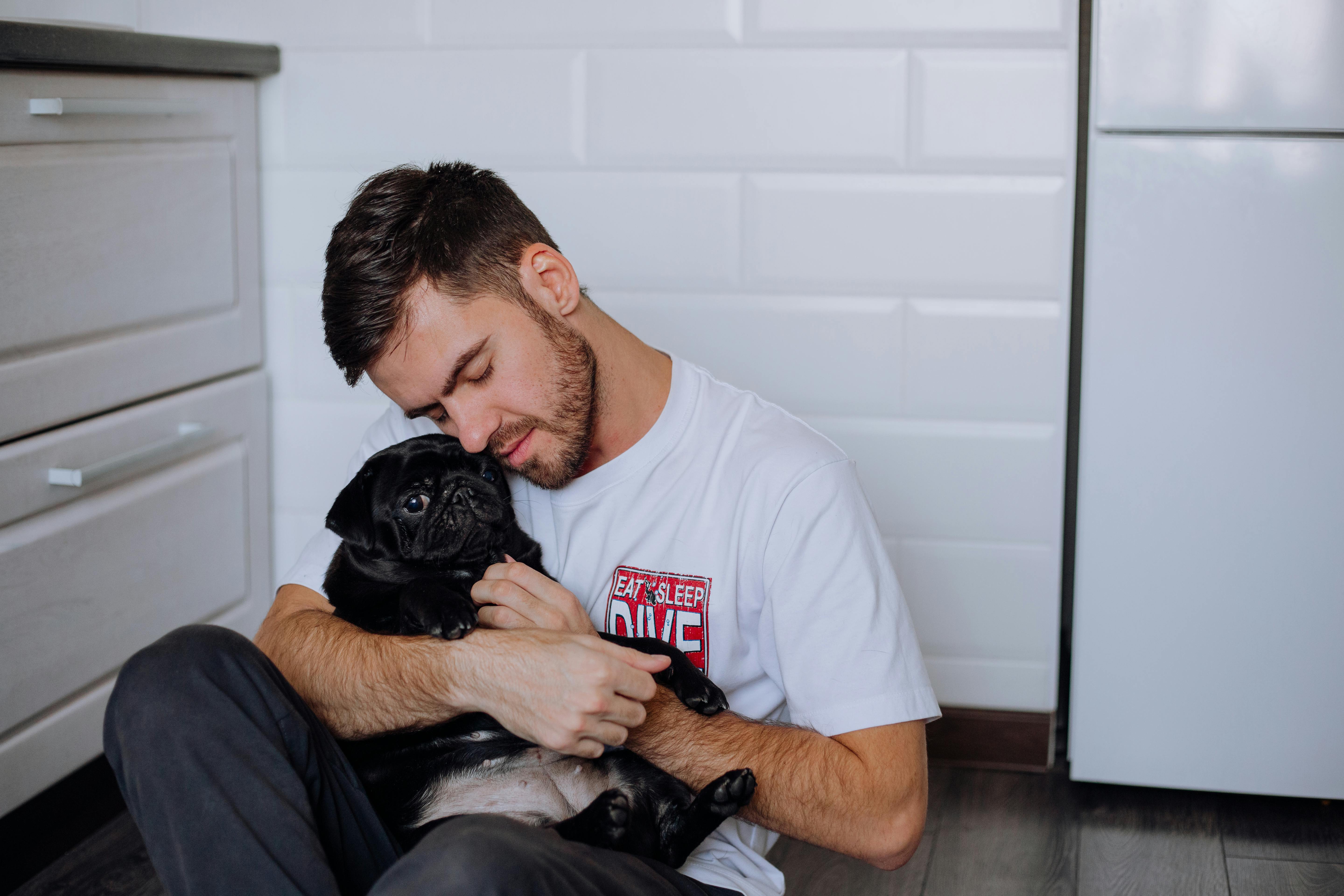 pet care pet safety — Photo by Ivan Babydov on Pexels