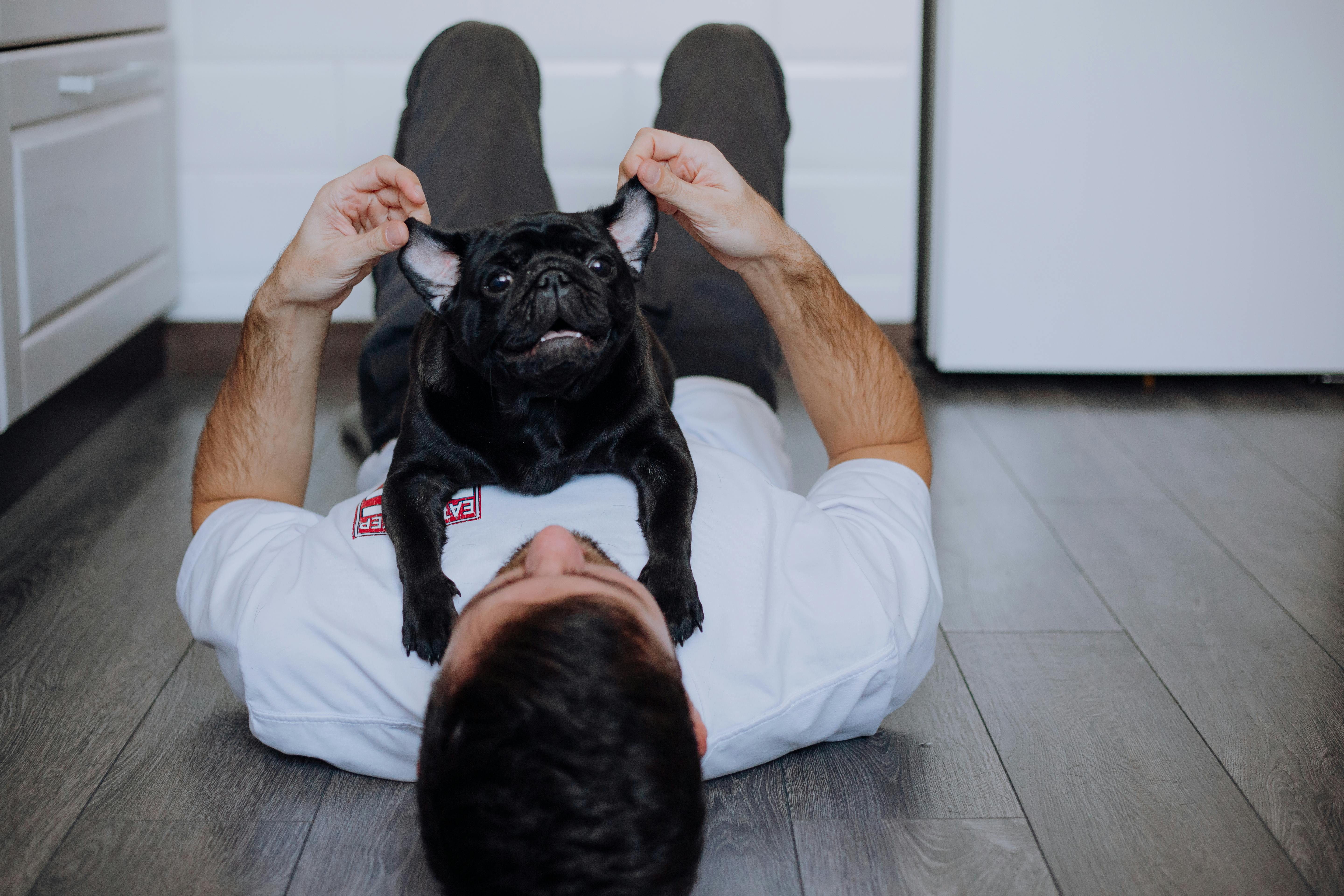 pet care pet grooming — Photo by Ivan Babydov on Pexels