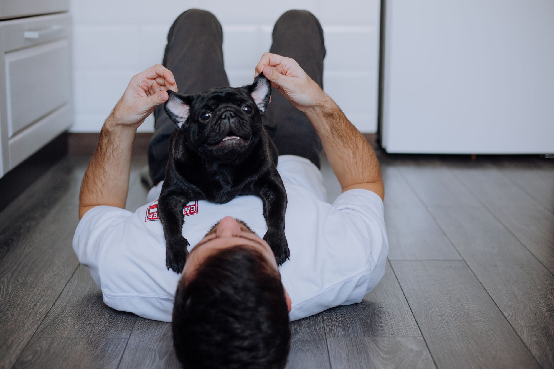 A pet undergoing diagnostic blood testing at a veterinary clinic