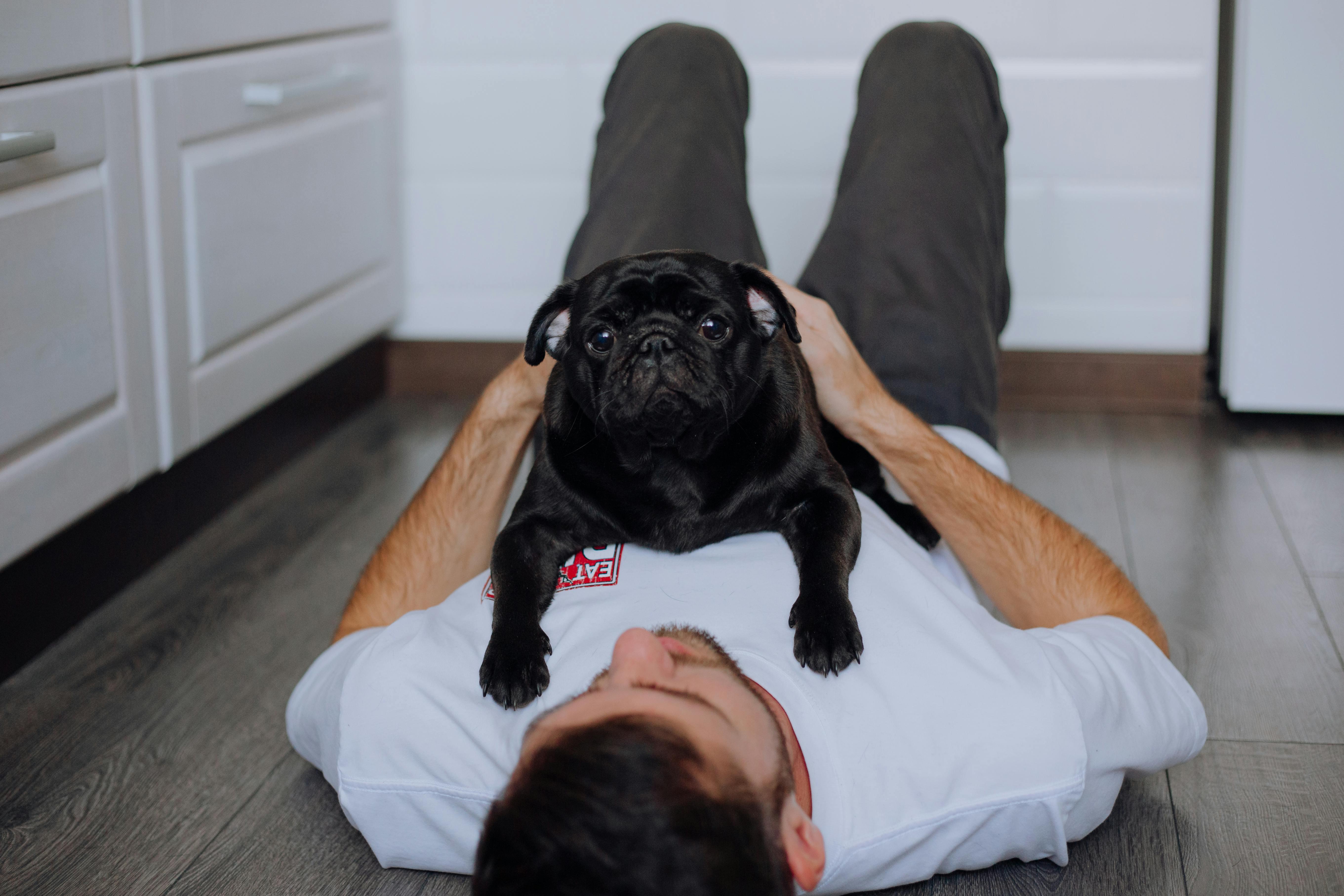 a bearded man lying down with his pet pug