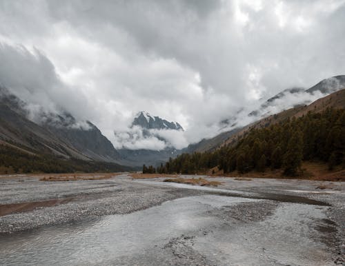 Picturesque view of river flowing between mountains with coniferous trees under cloudy sky in autumn