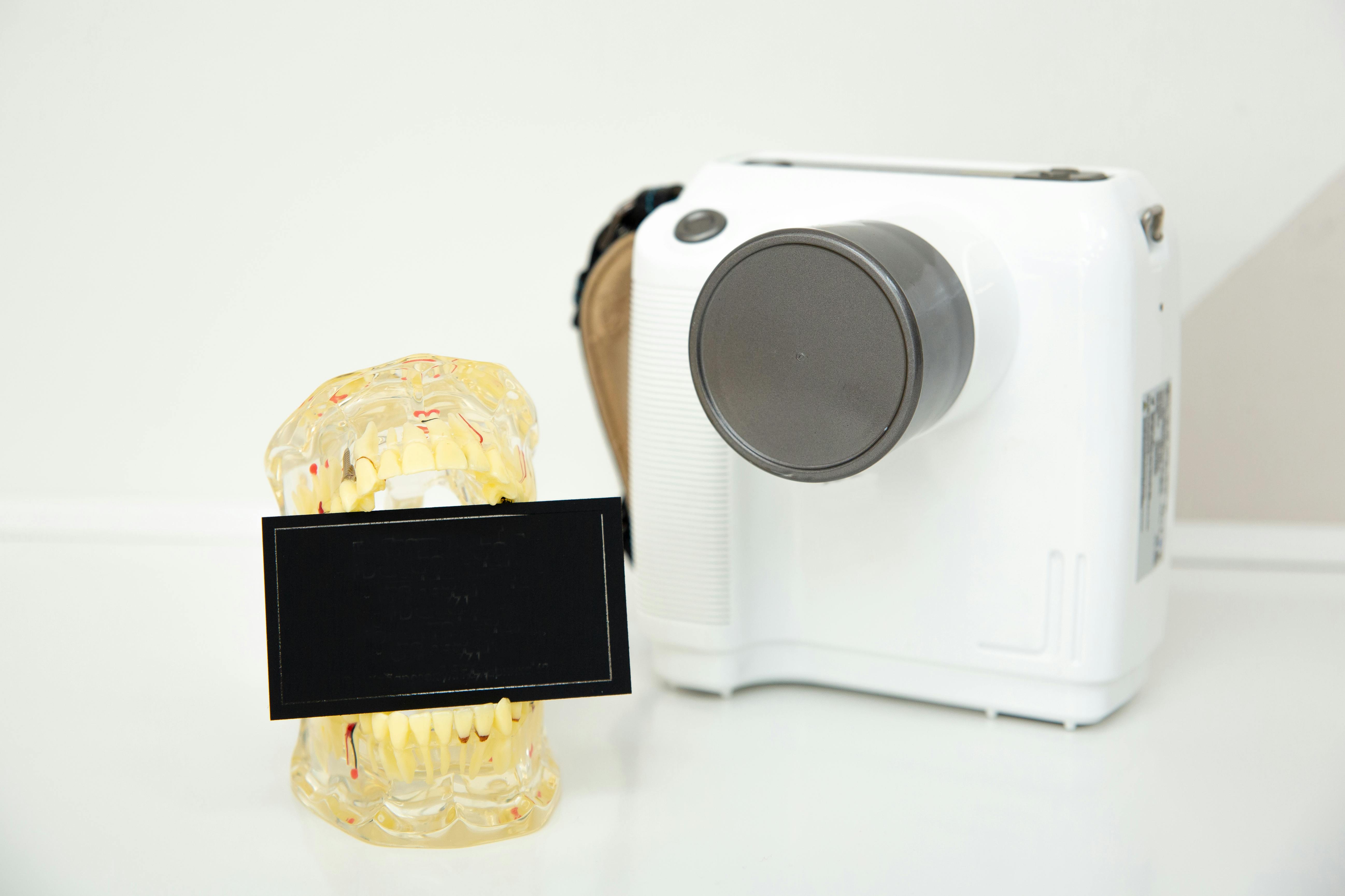 Zadarmo Fotobanka s bezplatnými fotkami na tému biela, biele pozadie, čeľusť Fotka z fotobanky