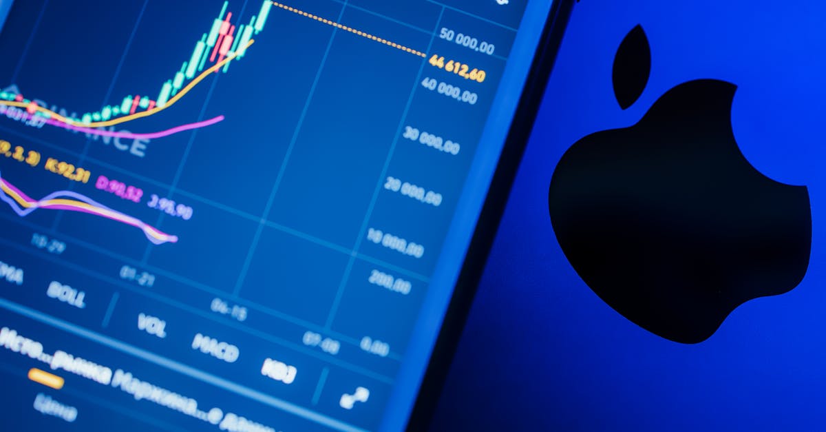 Fintech Sector Update: Adaptation and Innovation