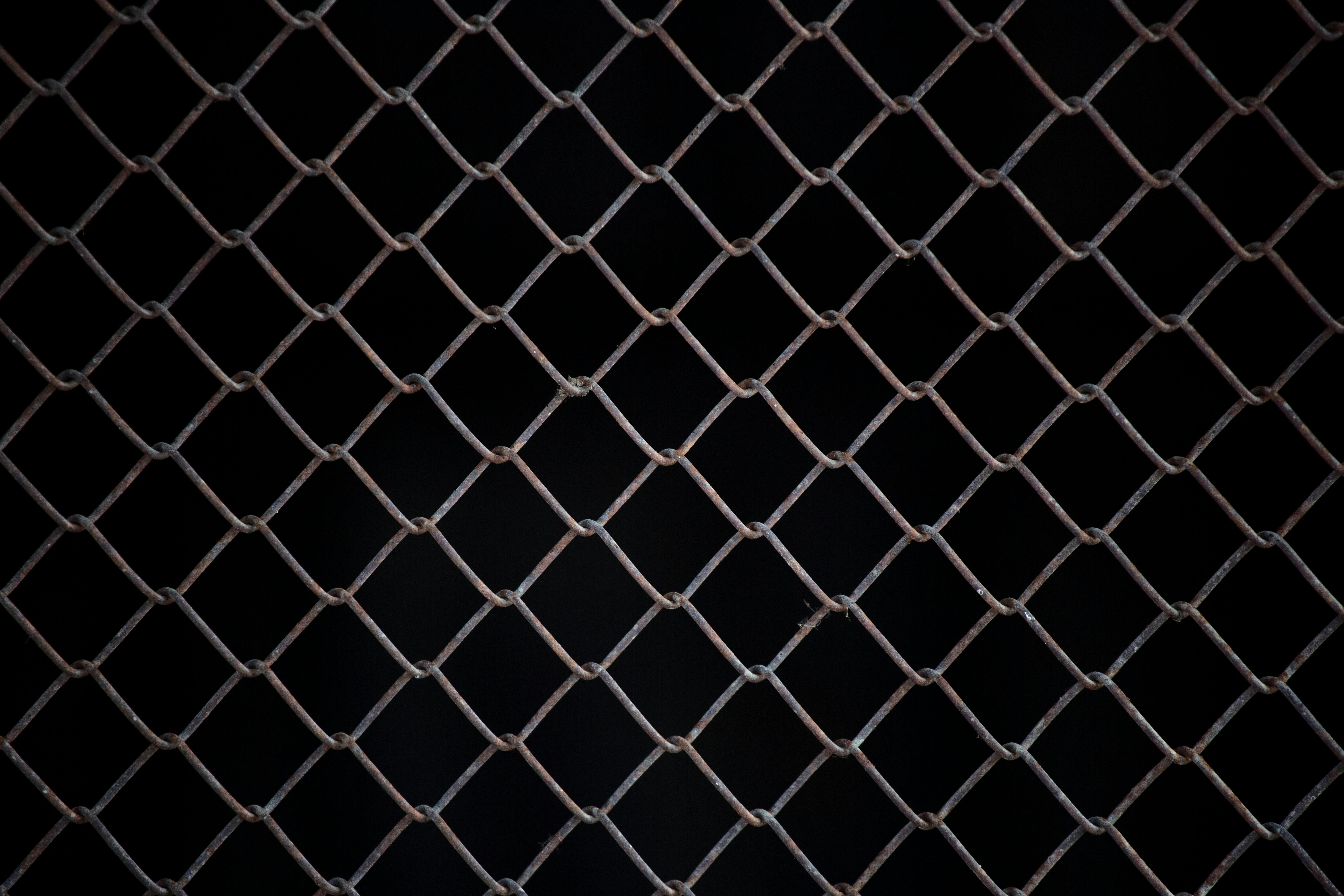 close up photo of chain link fence