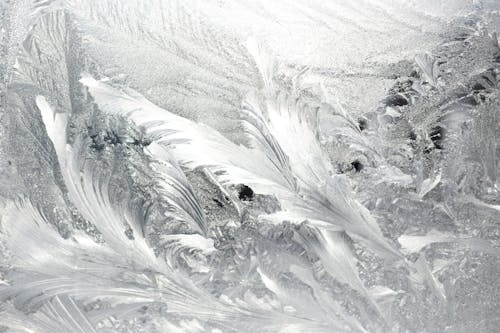 Grayscale Photo of Frosty Ice Patterns