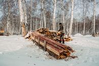 A Person Piling Chopped Wood During Winter