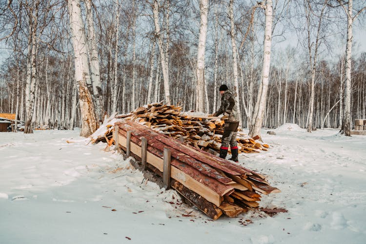 A Person Piling Chopped Wood During Winter