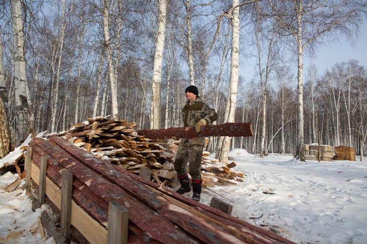 A Person Piling Chopped Wood During Winter