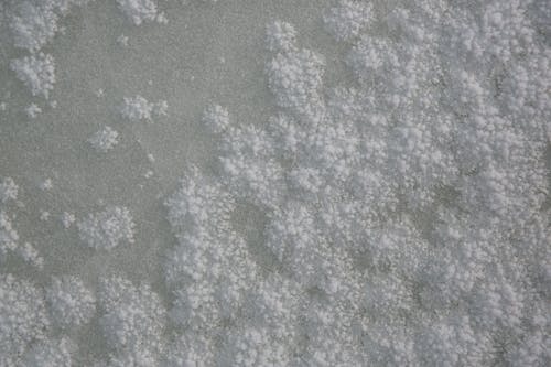 Gratis lagerfoto af forkølelse, frossen, frost