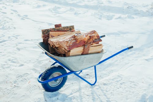 Бесплатное стоковое фото с дрова, заснеженная земля, зима